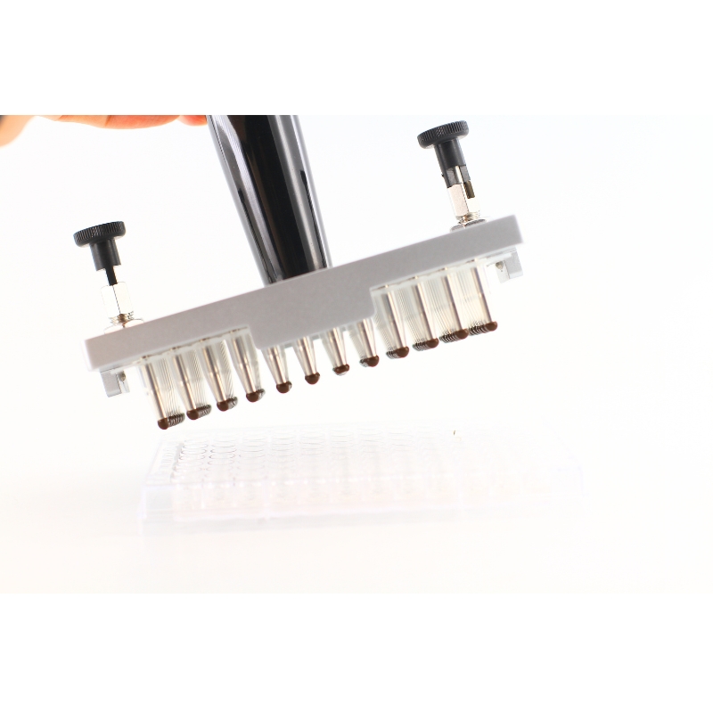MAG-96-15 - After bead attraction, remove and transfer to another 96-well plate: