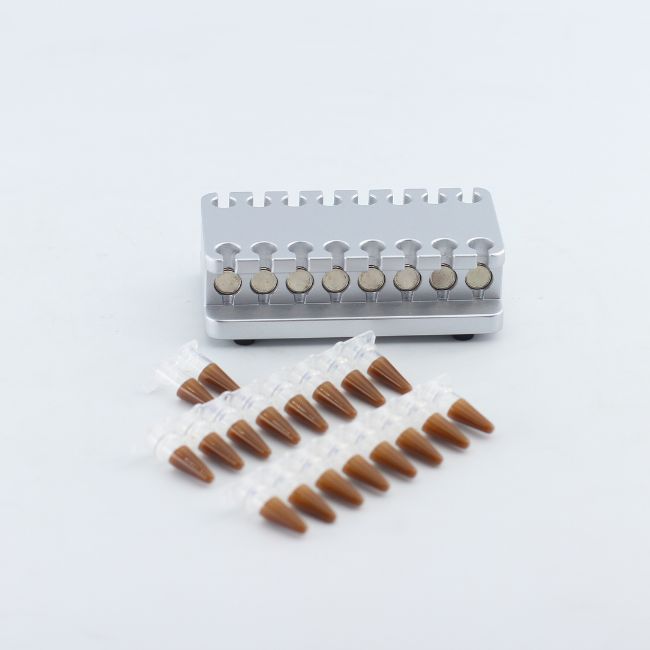 MAG-16-4-P - 1. This magnetic rack is suitable for eight-strip tubes (0.1 ml or 0.2 ml) and s