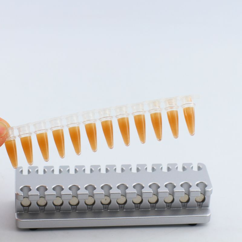 MAG-24-4-C - 1. This magnetic rack is suitable for 12-strip tubes, eight-strip tubes (0.1 ml