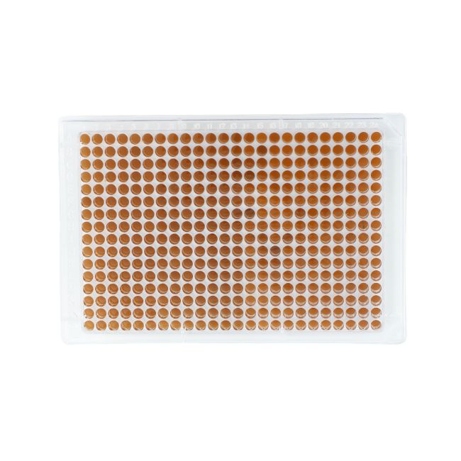 MAG-96-2-6 - Before and after magnetic bead adsorption Before adsorption: 96-well plate: 384-