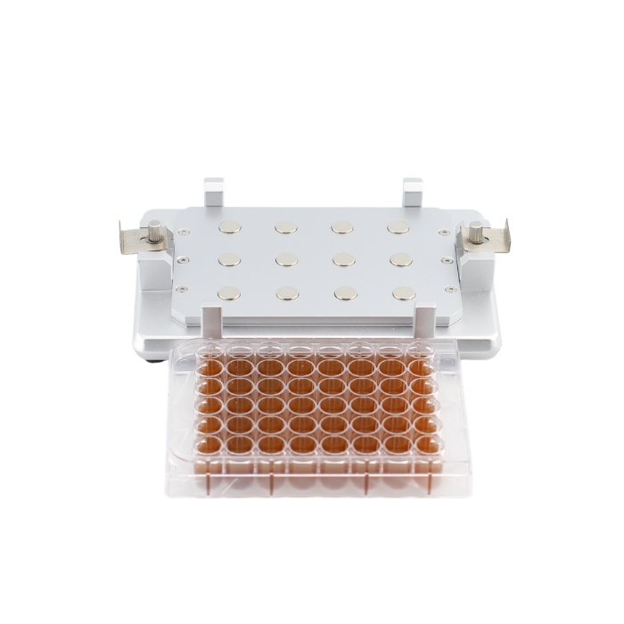 MAG-96-6-48 - Before and after magnetic bead adsorption Before adsorption: