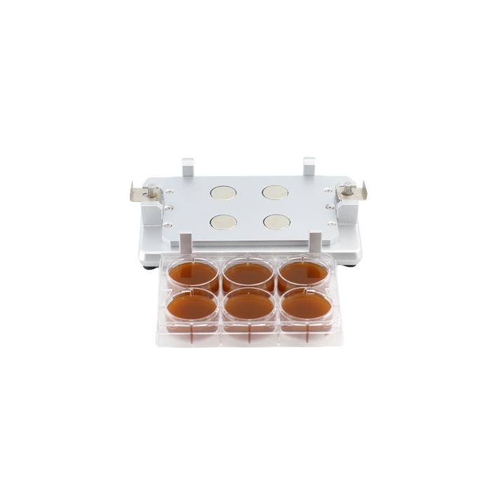 MAG-96-6-6 - Before and after magnetic bead adsorption Before adsorption: