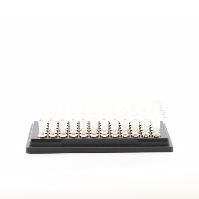 AUTO-96-5-8 - 2. Compatible with most 96-well plates on the market, mainly because the magnets