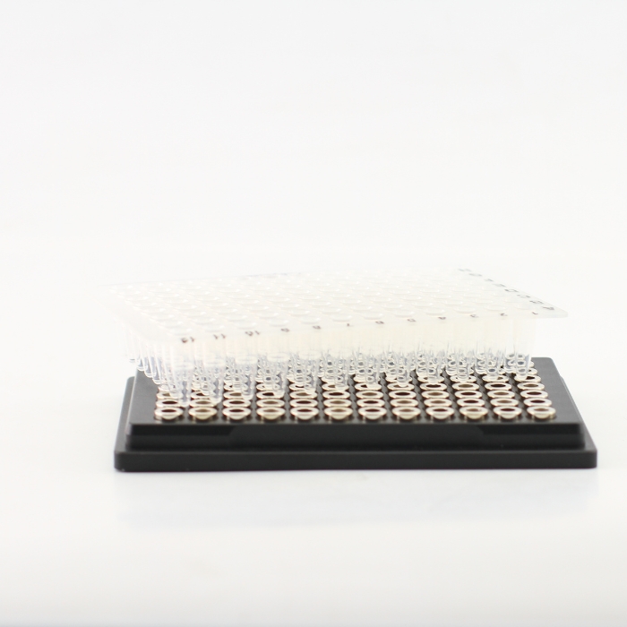 AUTO-96-5-8 - 2. Compatible with most 96-well plates on the market, mainly because the magnets