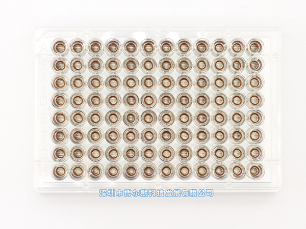 AUTO-96-5-8 - 2. Compatible with most 96-well plates on the market, mainly because the magnets