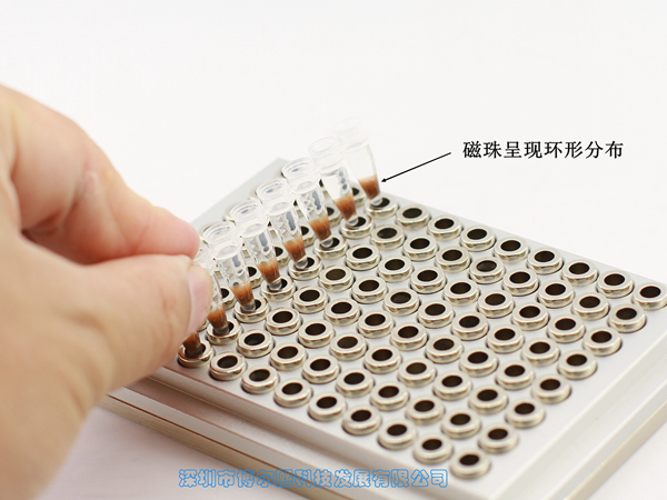 AUTO-96-5-8 - 2. Compatible with most 96-well plates on the market, mainly because the magnets